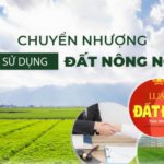 Quy trình và thủ tục sang tên sổ đỏ đất nông nghiệp tại Hà Nội