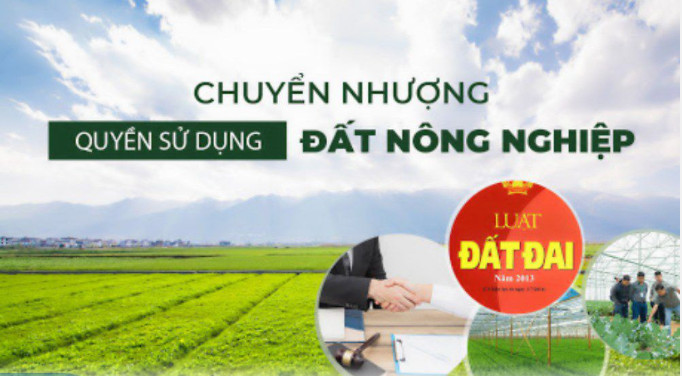 Dịch vụ sang tên sổ đỏ đất nông nghiệp tại Hà Nội