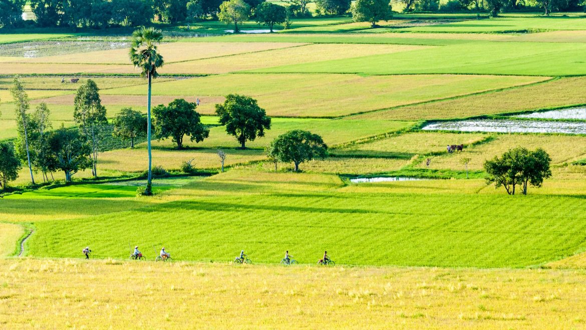 Mất giấy tờ mua bán đất