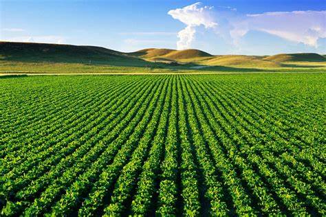 Đất nông nghiệp dự trữ phát triển là gì?