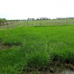 So-muc-ke-la-gi-Khi-cap-so-do-so-muc-ke-co-gia-tri-nhu-the-nao-2