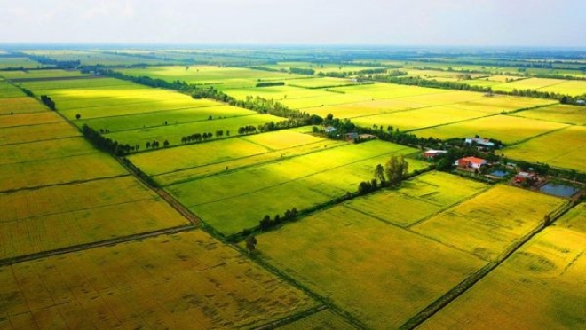 Hạn mức sử dụng đất nông nghiệp hiện nay được quy định thế nào?
