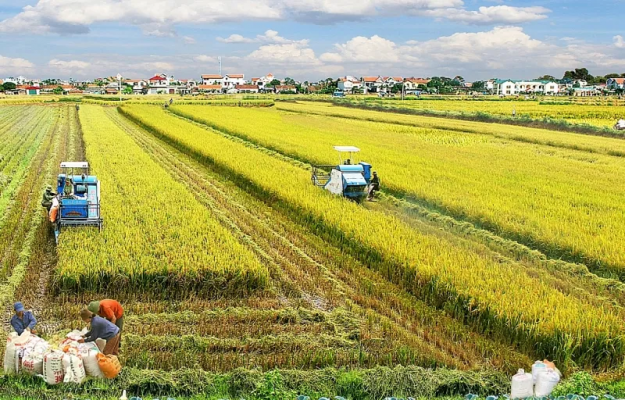 hạn mức đất ở