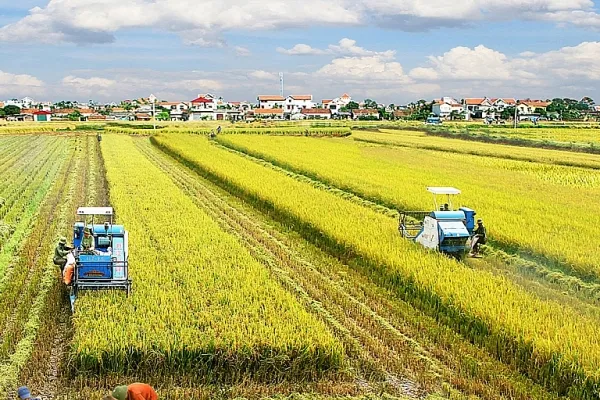 hạn mức đất ở