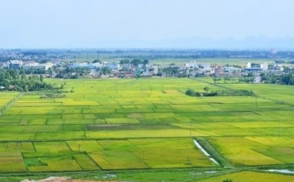 Quyết định thu hồi đất