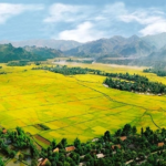 Quyết định thu hồi đất