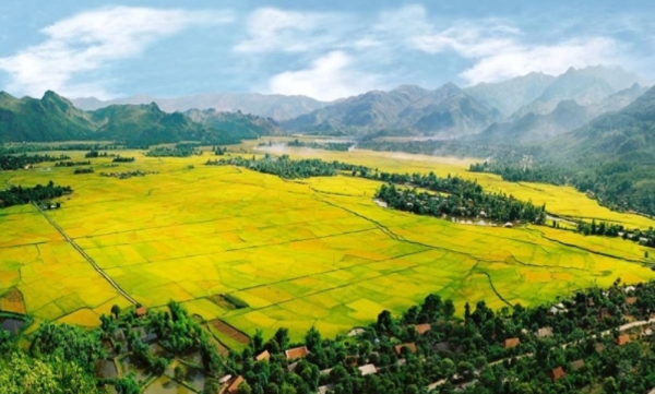 Quyết định thu hồi đất