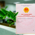 Quy trình quy hoạch