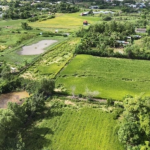 Kiểm tra quy hoạch online,