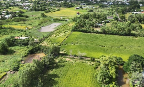 Kiểm tra quy hoạch online,