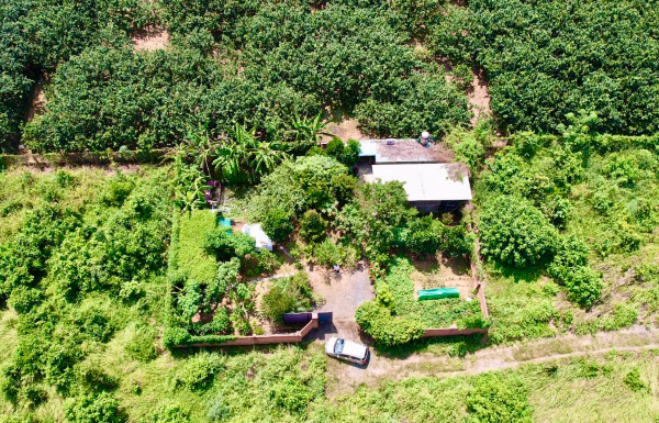 đầu tư đất quy hoạch