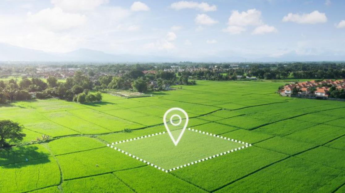 Thông báo thu hồi đất