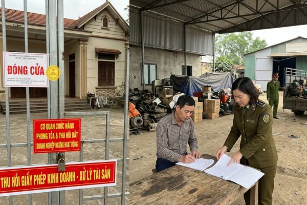 Xử lý đất doanh nghiệp khi bị thu hồi giấy phép kinh doanh