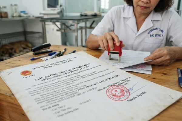 Chứng thực bản sao Giấy chứng nhận đủ điều kiện phòng chống dịch bệnh vật nuôi