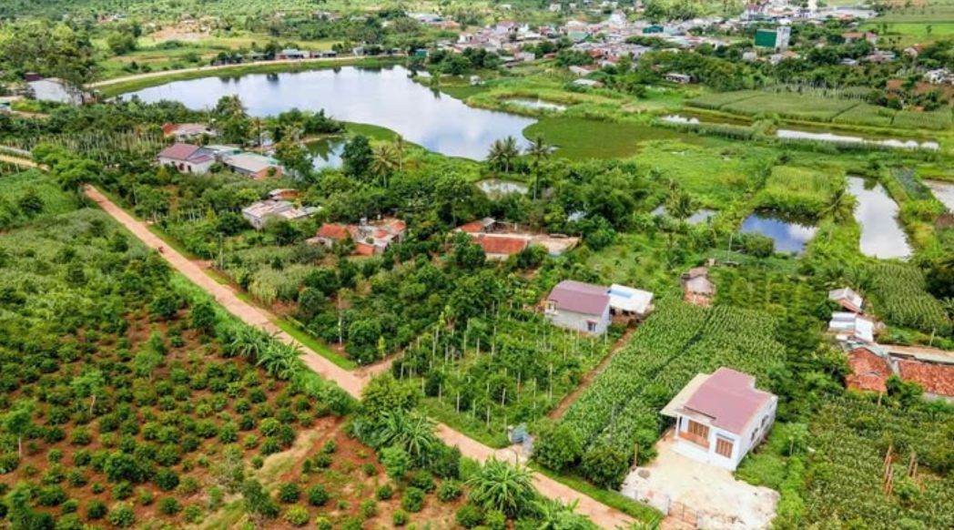 Đất nông nghiệp