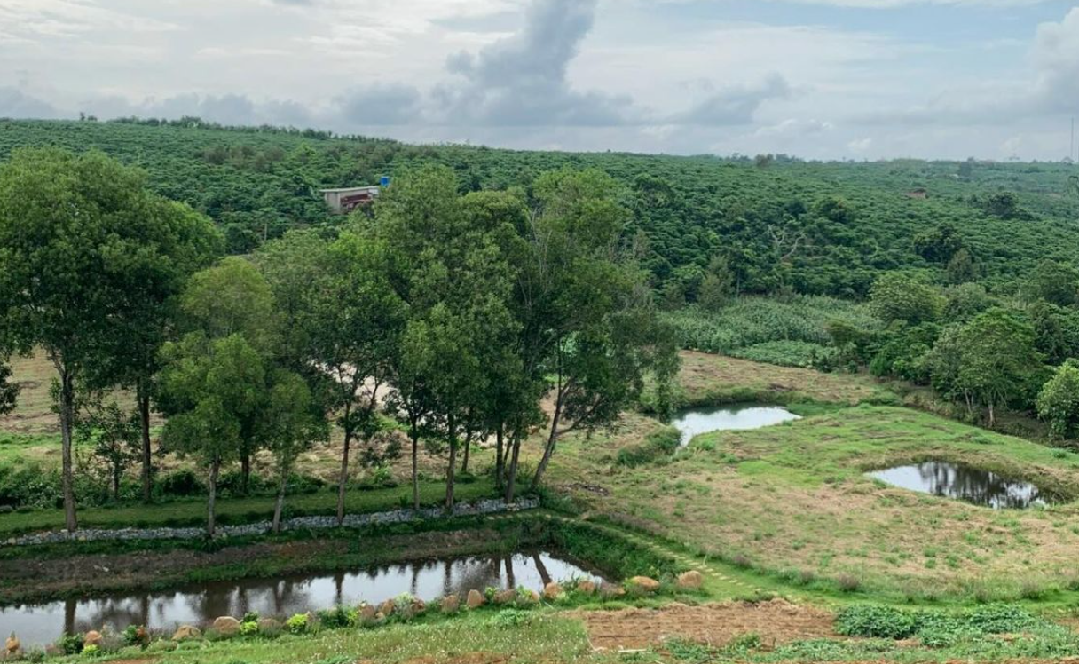 Đất nông nghiệp